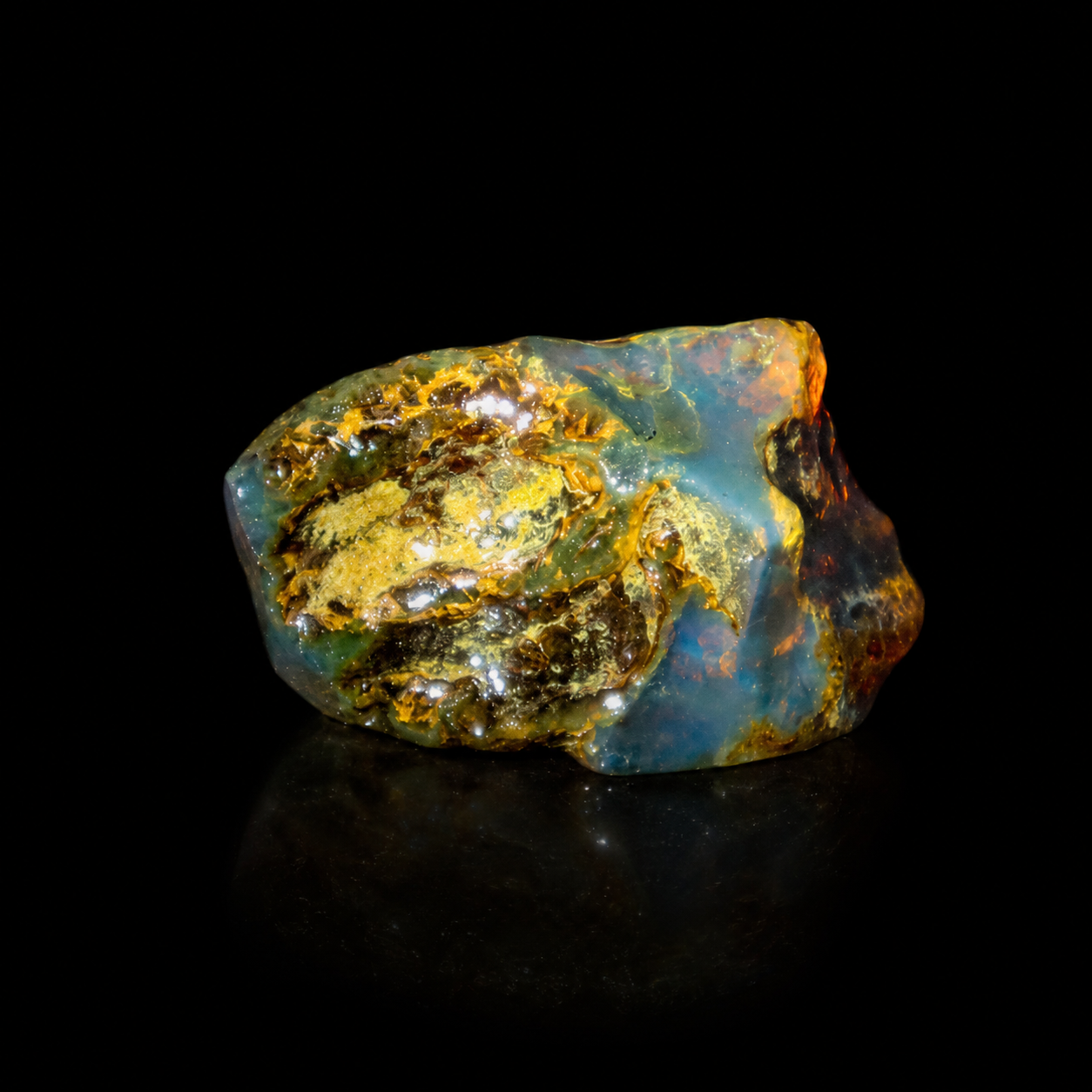 Blue Amber & Fossil Amber