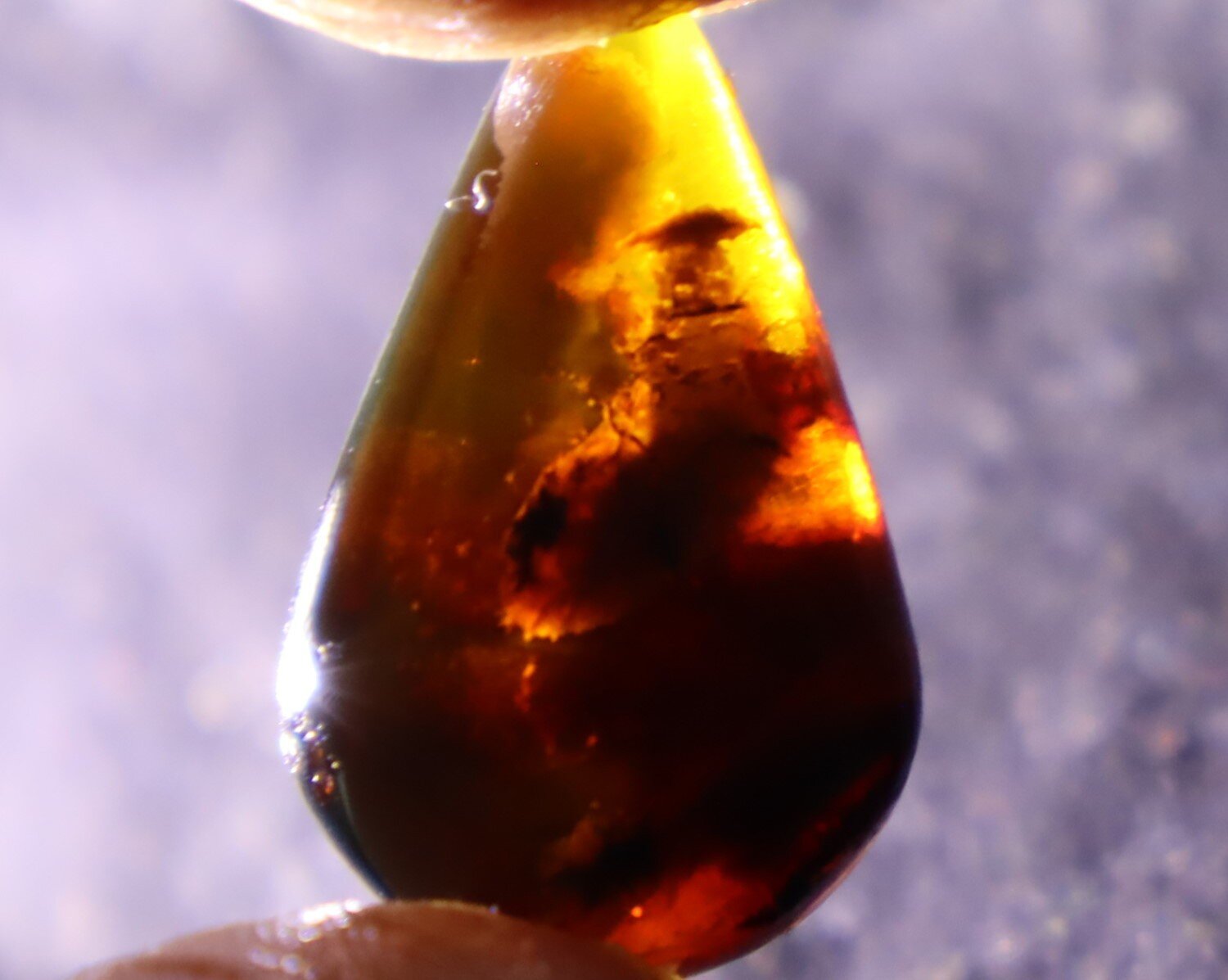 Lovely Natural Dominican Translucent Cognac Blue Amber Polished Stone 25mm – photo 6