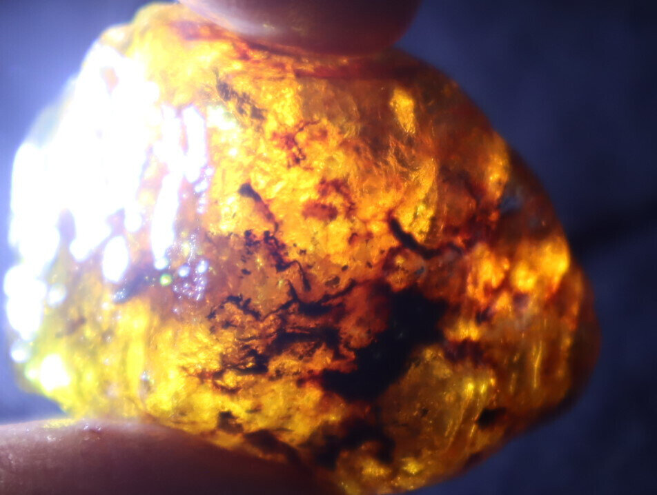 Exquisite Natural Dominican Clear Light Yellow Amber Rough Specimen 35mm 16g – photo 8