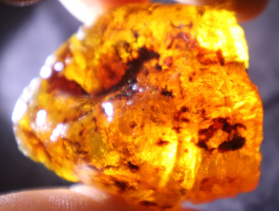 Exquisite Natural Dominican Clear Light Yellow Amber Rough Specimen 35mm 16g – photo 9