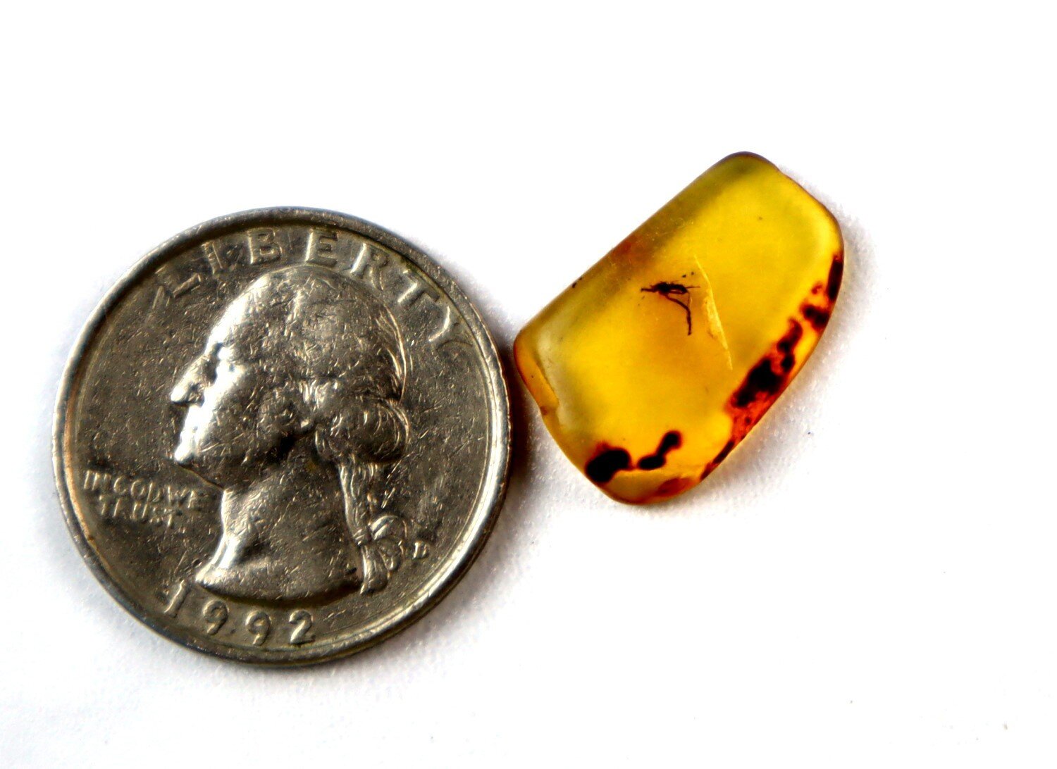 Artisan Polished Mosquito Inclusion In Amber Fossils/Insects 18mm – photo 3