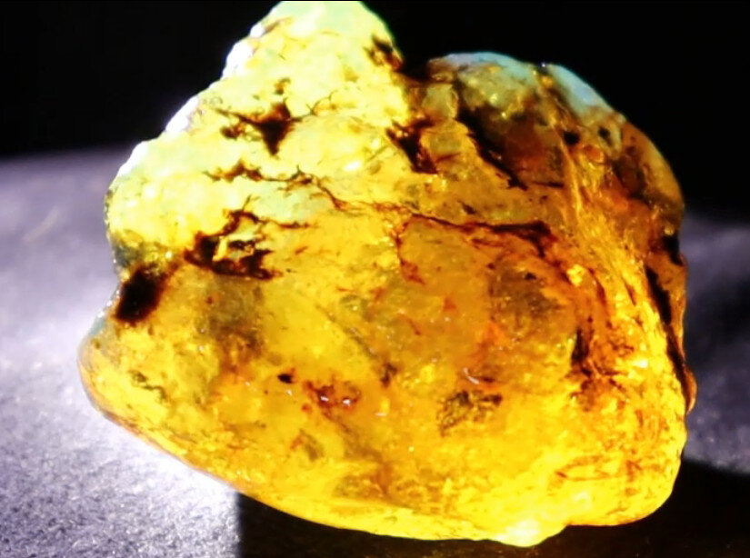 Impressive Natural Dominican Clear Green Blue Amber Rough Specimen 48mm 31g – photo 4
