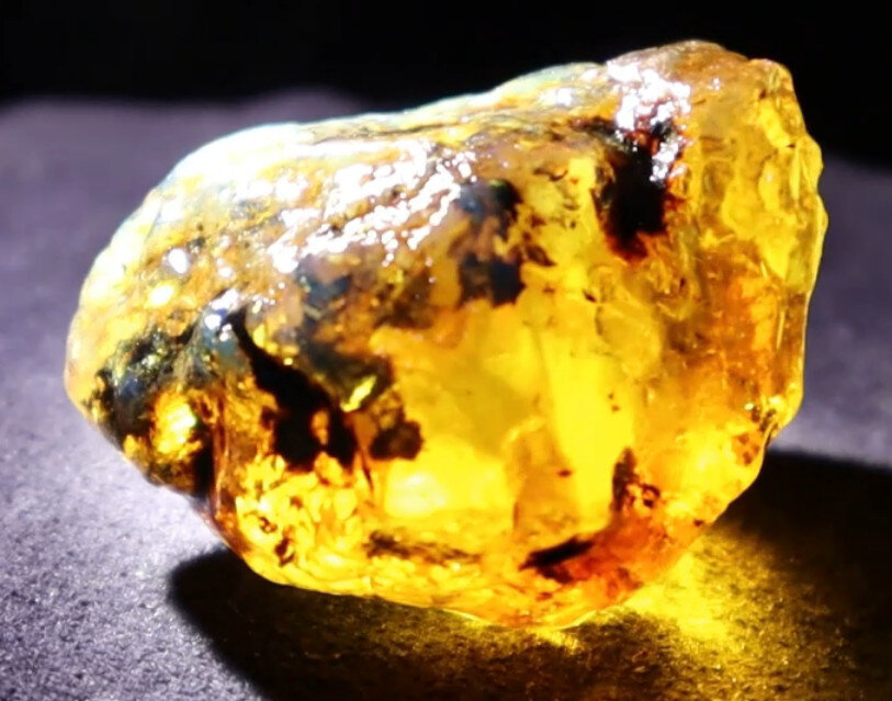 Impressive Natural Dominican Clear Green Blue Amber Rough Specimen 48mm 31g – photo 11