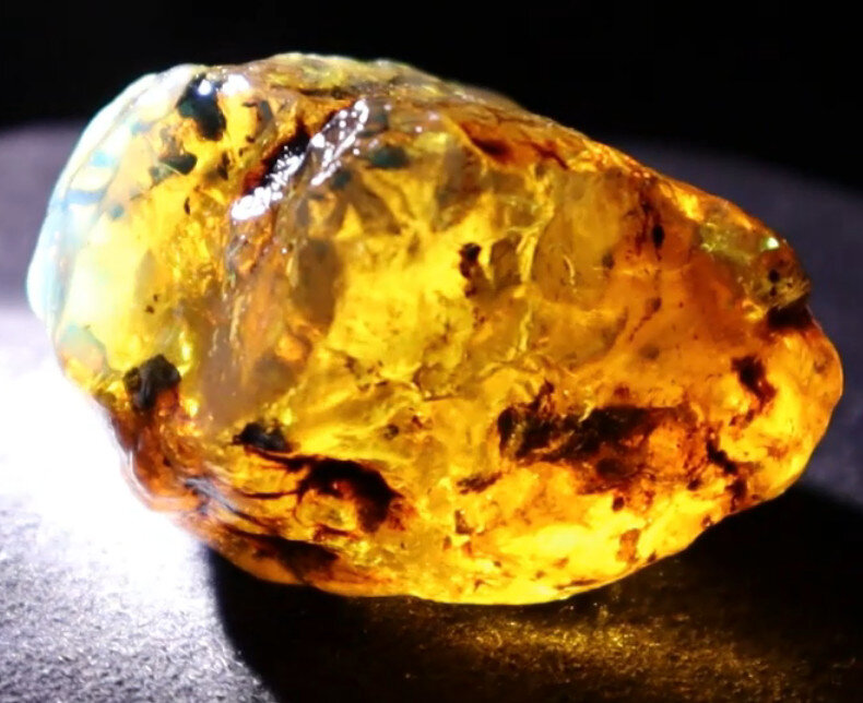 Impressive Natural Dominican Clear Green Blue Amber Rough Specimen 48mm 31g – photo 13