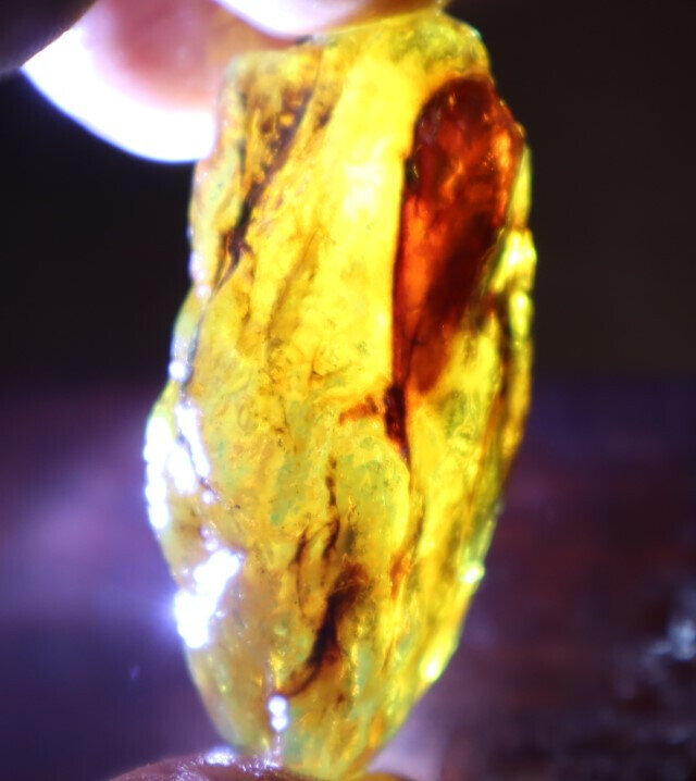 Natural Dominican Crystal Clear Sky Blue Amber Rough Specimen 51mm 14.5g – photo 9