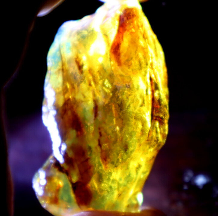 Natural Dominican Crystal Clear Sky Blue Amber Rough Specimen 51mm 14.5g – photo 11