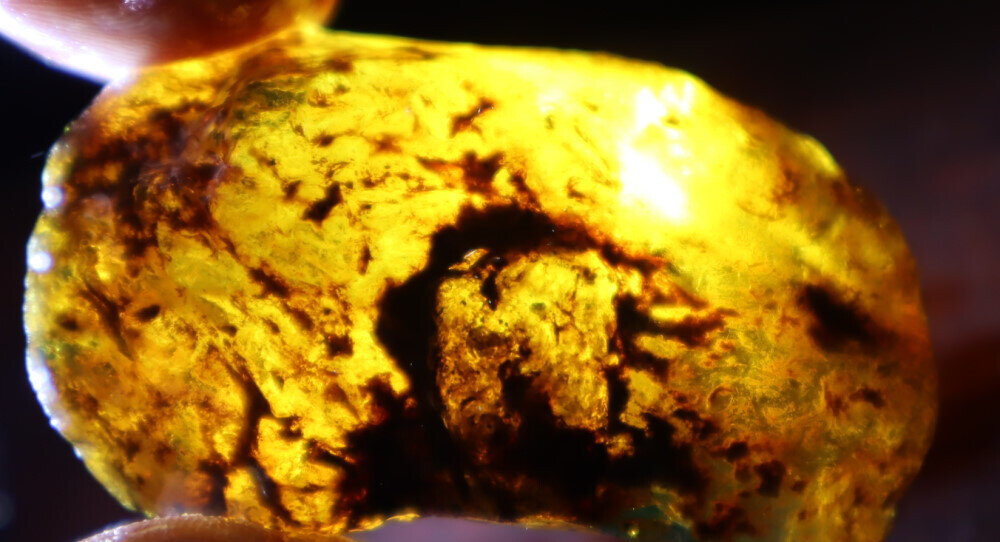 Finest Natural Dominican Clear Green Blue Amber Rough Specimen 50mm 17g – photo 7