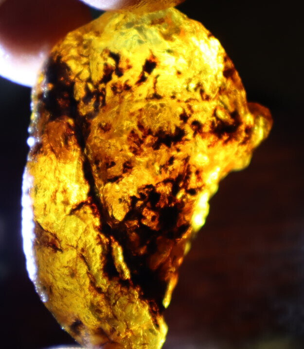 Beautiful Natural Dominican Clear Sky Blue Amber Rough Specimen 47mm 19g – photo 7
