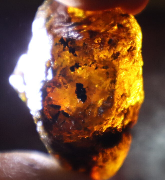 Beautiful Natural Dominican Clear Sky Blue Amber Rough Specimen 47mm 19g – photo 10