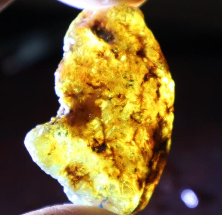 Exquisite Natural Dominican Crystal Clear Sky Blue Amber Rough Specimen 43mm 8g – photo 10