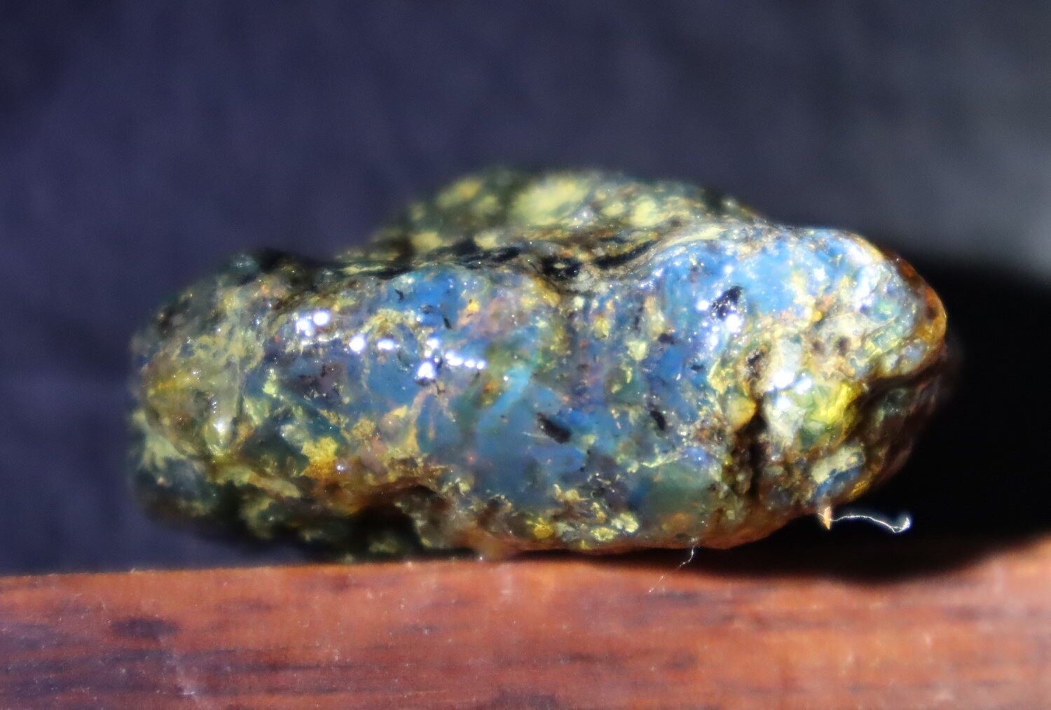 Beautiful Natural Dominican Translucent Ocean Blue Amber Rough Specimen 47mm 19g – photo 4