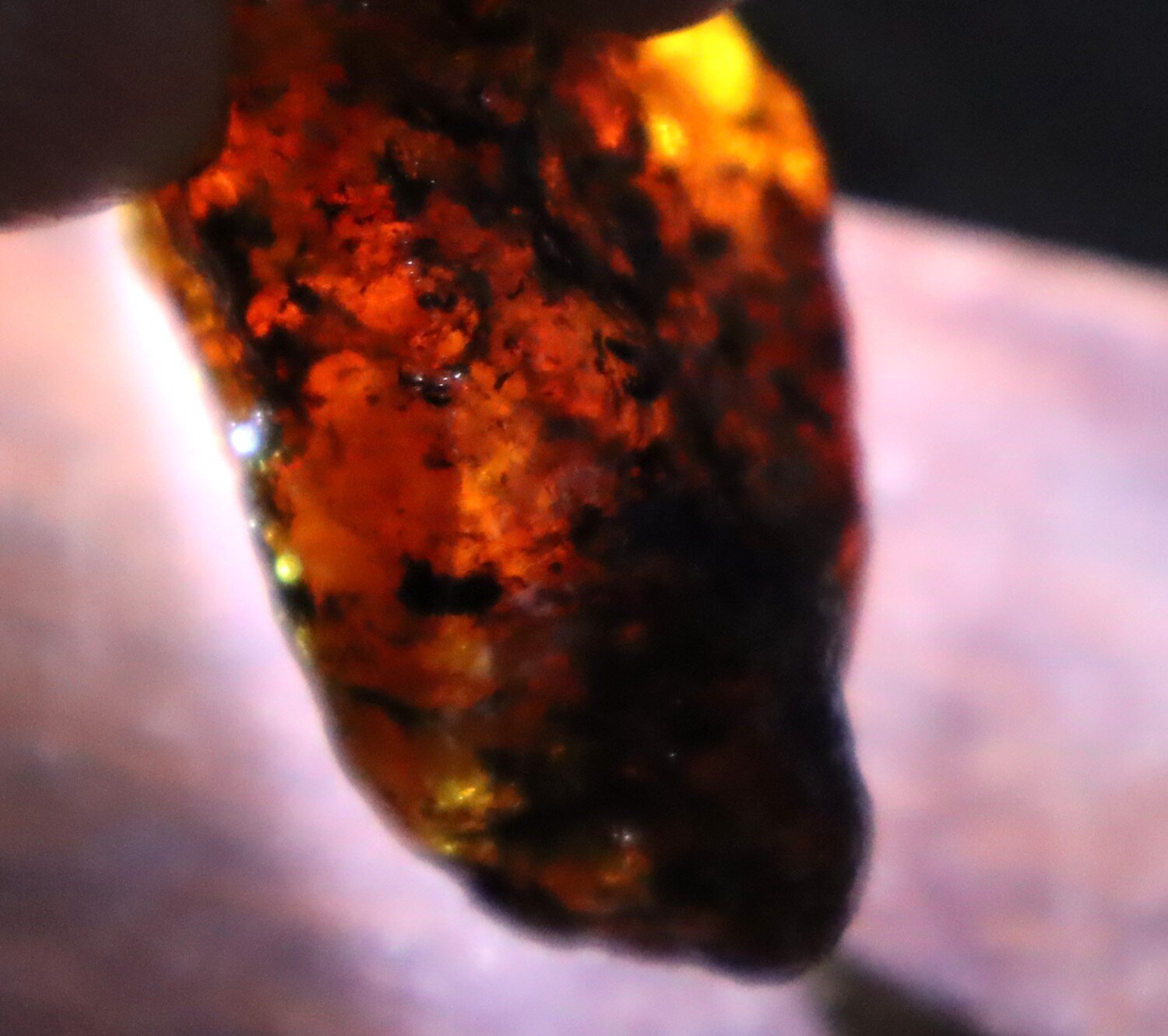 Beautiful Natural Dominican Translucent Ocean Blue Amber Rough Specimen 47mm 19g – photo 7