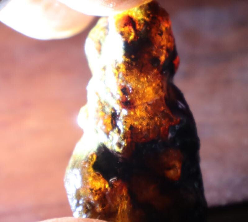 Natural Dominican Translucent Deep Blue Amber Rough Specimen 48mm 13g – photo 8