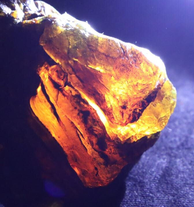 Excellent Natural Dominican Clear Sky Blue Amber Rough Specimen 56mm 29g – photo 4