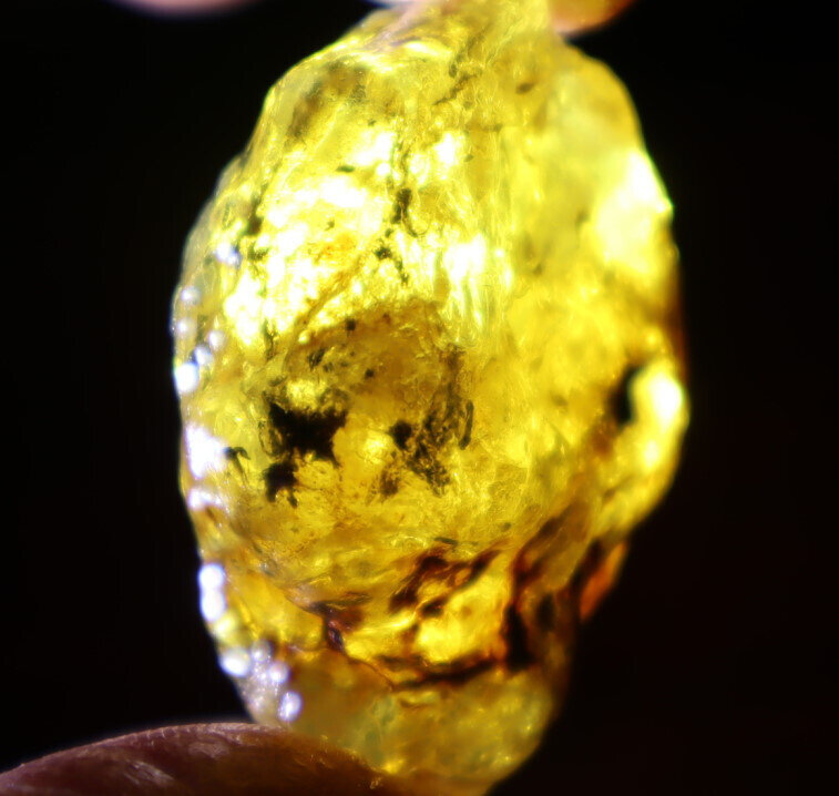 Beautiful Natural Dominican Clear Light Blue Yellow Amber Rough Specimen 43mm 14g – photo 11