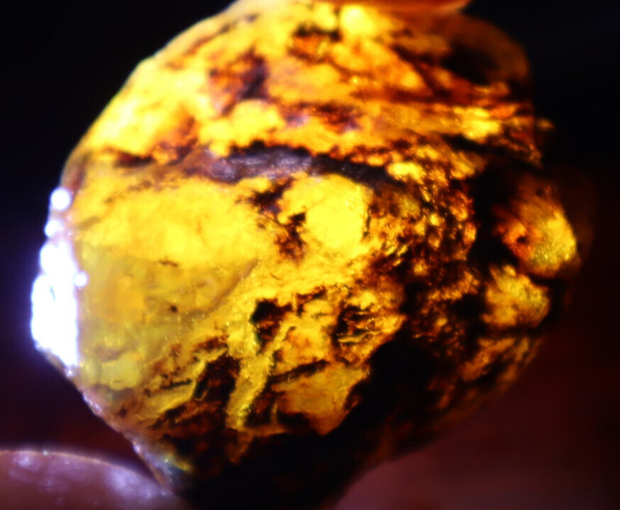 Exquisite Natural Dominican Clear Light Blue Amber Rough Specimen 46mm 22g – photo 10