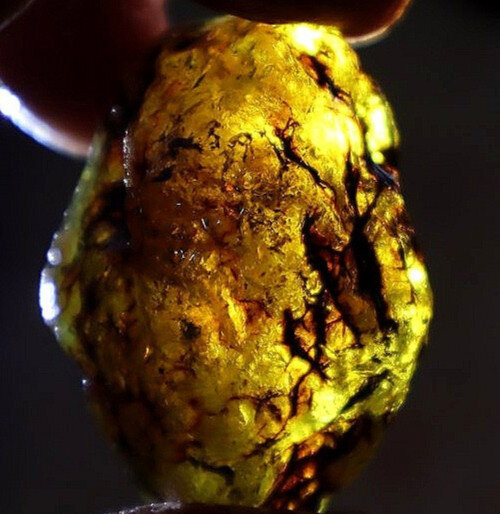 Excellent Green Blue Amber Rough Specimen Chunk 48mm 16.3g – photo 9