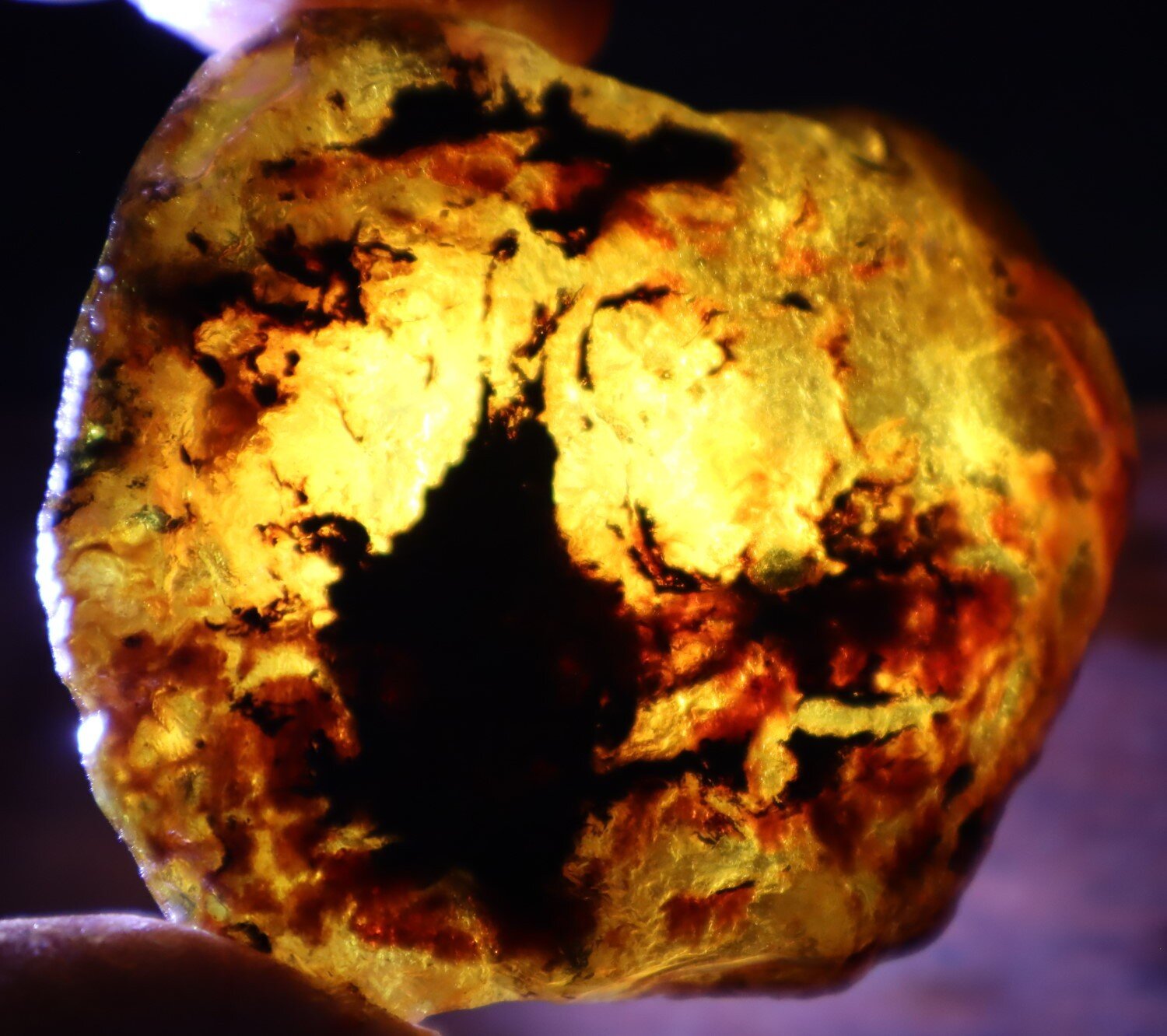 Outstanding Natural Dominican Clear Green Blue Amber Rough Specimen 60mm 36.6g – photo 7