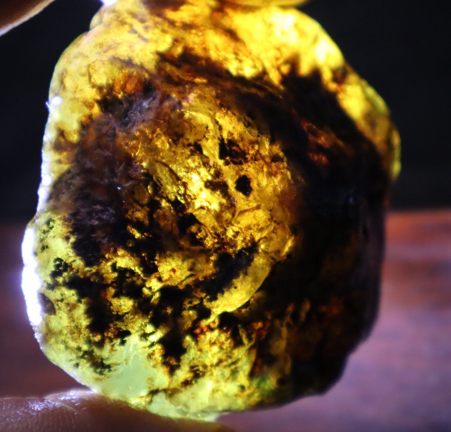 Beautiful Natural Dominican Translucent Sky Blue Amber Rough Specimen 58mm 42.5g – photo 15