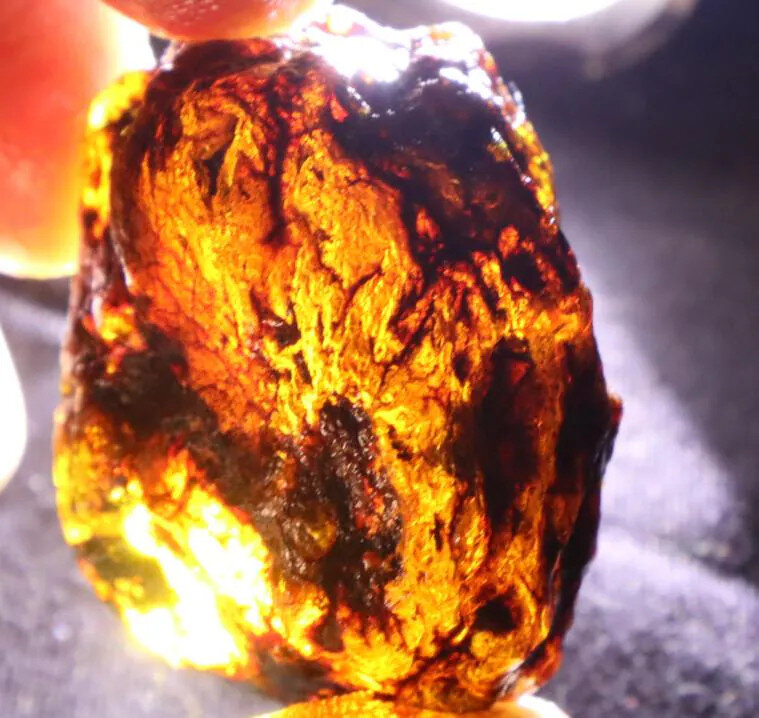Impressive Natural Dominican Clear Deep Blue Amber Rough Specimen 41mm 20g – photo 3