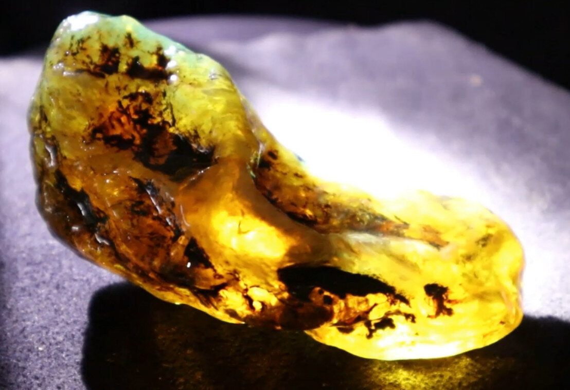 Impressive Natural Dominican Clear Sky Blue Amber Rough Specimen 48mm 39g – photo 5