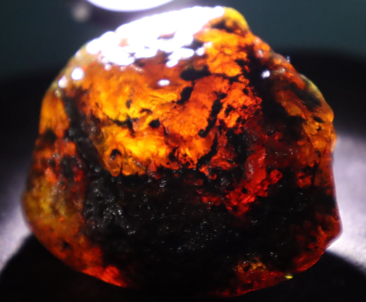 Beautiful Natural Dominican Translucent Green Blue Amber Rough Specimen 62mm 41.7g – photo 3