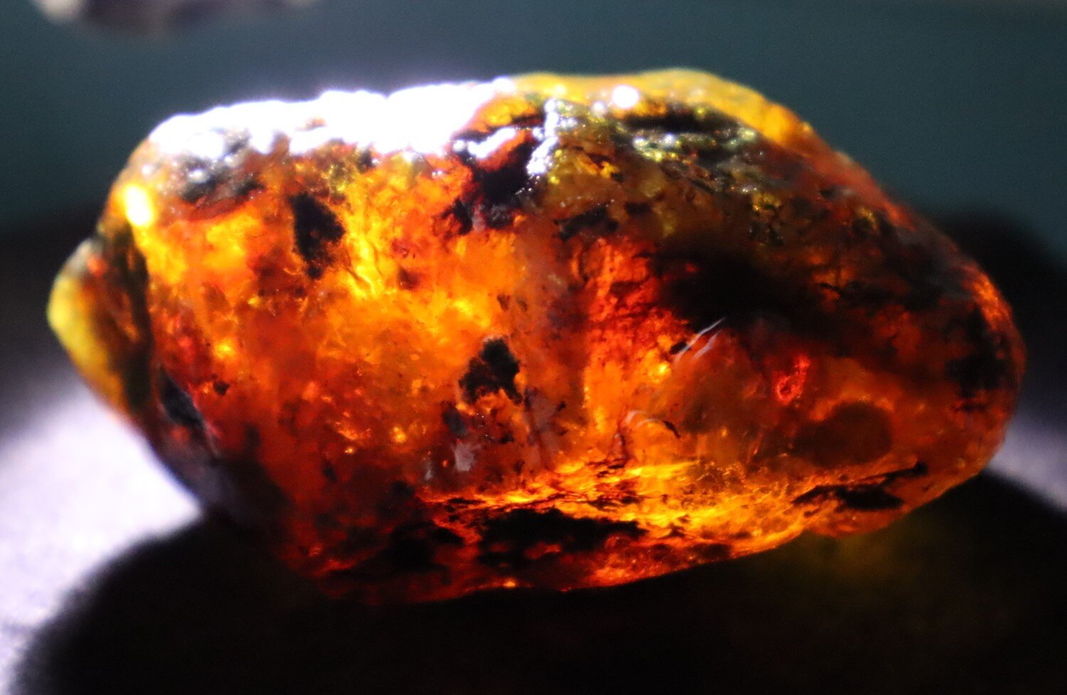 Beautiful Natural Dominican Translucent Green Blue Amber Rough Specimen 62mm 41.7g – photo 10