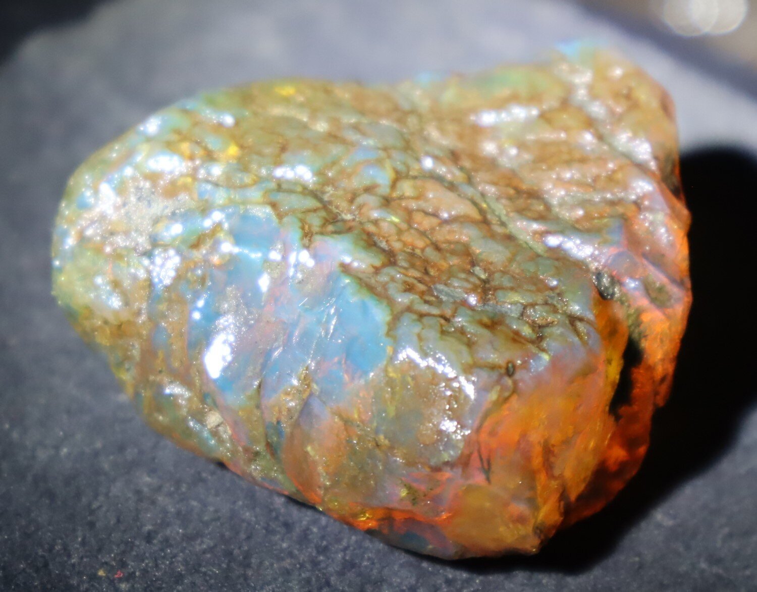 Impressive Natural Dominican Clear Sky Blue Amber Rough Specimen 49mm 26.9g – photo 5