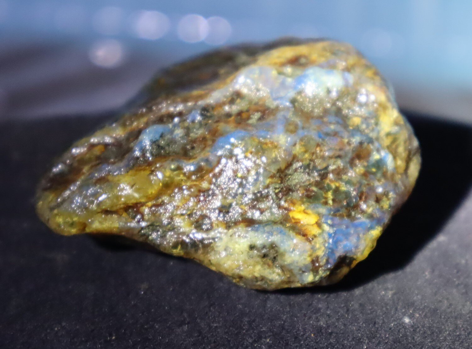 Beautiful Natural Dominican Translucent Yellow Blue Amber Rough Specimen 58mm 34g – photo 7