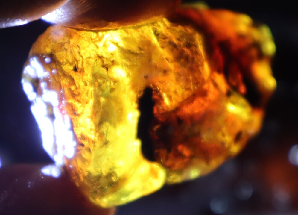 Beautiful Natural Dominican Clear Ocean Blue Amber Rough Specimen 50mm 18.5g – photo 15