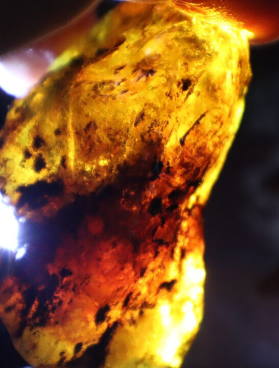 Beautiful Natural Dominican Clear Ocean Blue Amber Rough Specimen 50mm 18.5g – photo 11