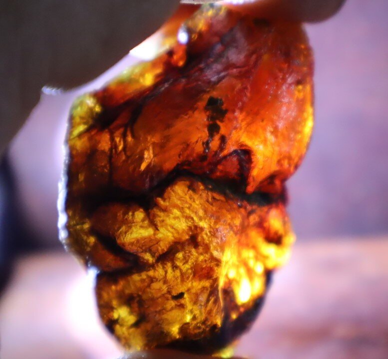 Outstanding Natural Dominican Clear Sky Blue Amber Rough Specimen 53mm 23.4g – photo 11