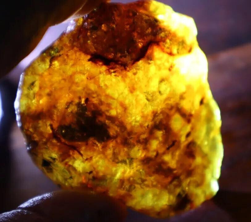 Finest Natural Dominican Crystal Clear Orange Yellow Amber Rough Specimen 27.7g – photo 7