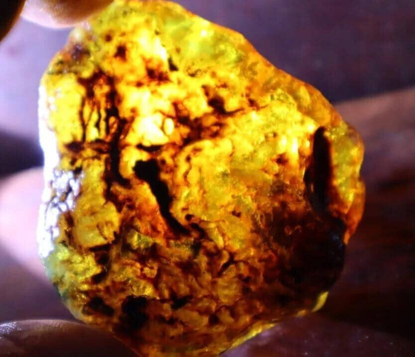 Finest Natural Dominican Crystal Clear Orange Yellow Amber Rough Specimen 27.7g – photo 5
