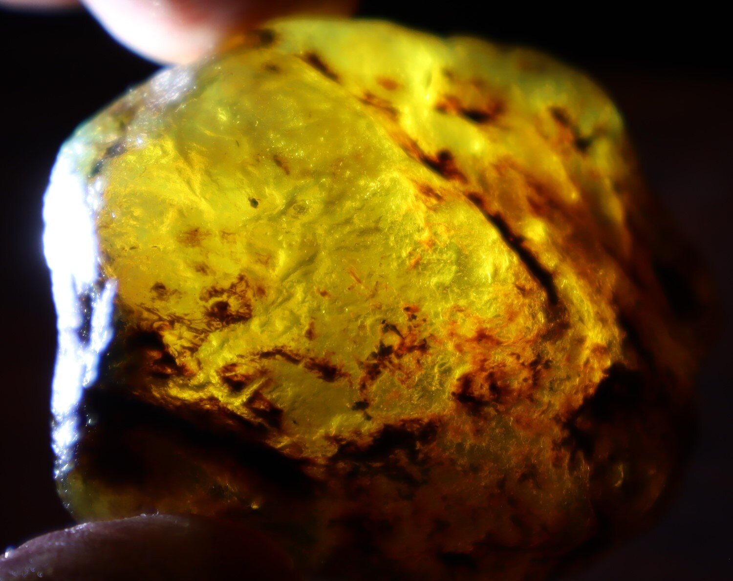Impressive Dominican Crystal Clear Sky Blue Amber Rough Specimen 43mm 20.1g – photo 4