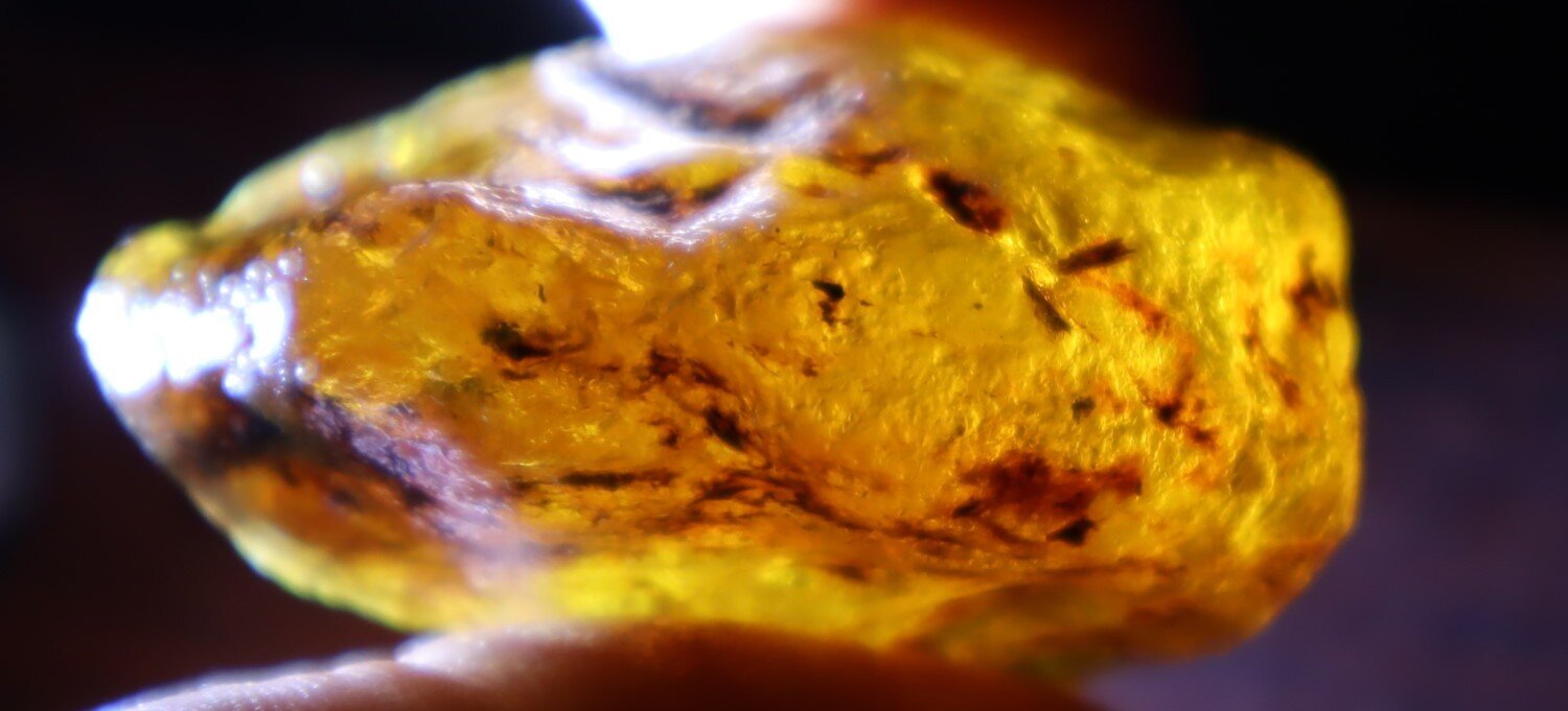 Impressive Dominican Crystal Clear Sky Blue Amber Rough Specimen 43mm 20.1g – photo 11