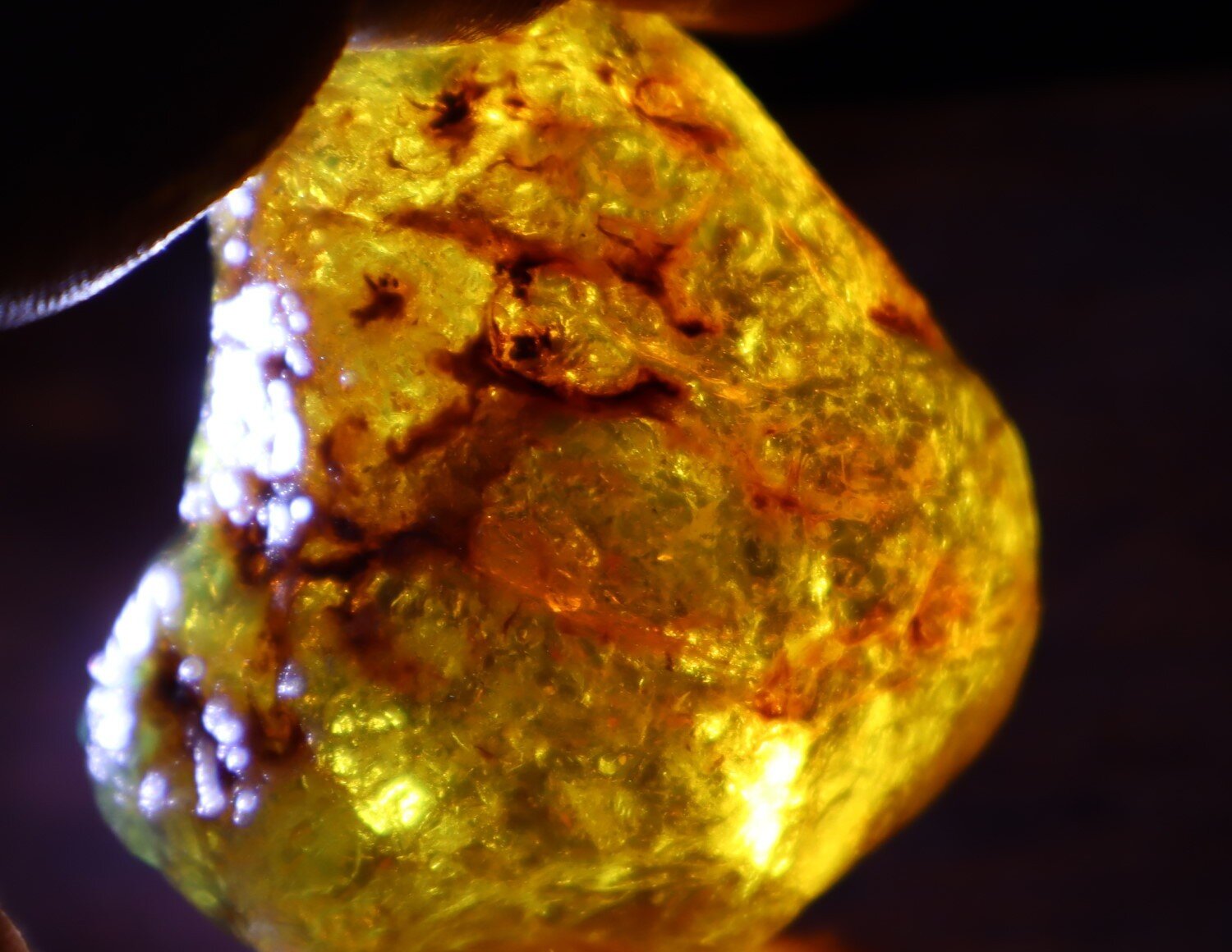 Beautiful Natural Dominican Clear Green Blue Amber Rough Specimen 51mm 47.8g – photo 5