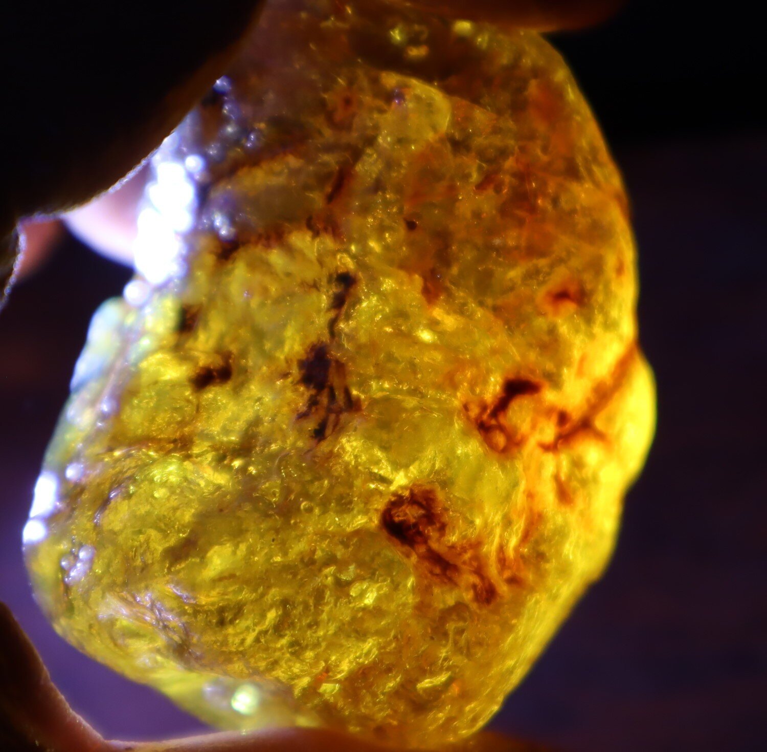 Beautiful Natural Dominican Clear Green Blue Amber Rough Specimen 51mm 47.8g – photo 7