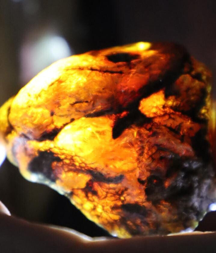 Outstanding Natural Dominican Clear Sky Blue Amber Rough Specimen 58mm 33g – photo 5