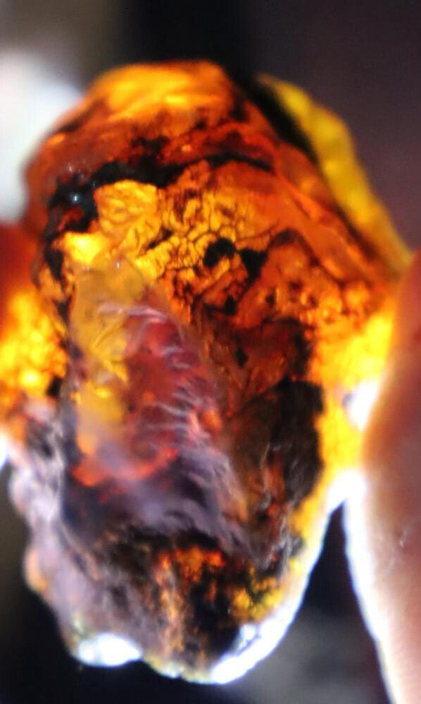 Outstanding Natural Dominican Clear Sky Blue Amber Rough Specimen 58mm 33g – photo 10
