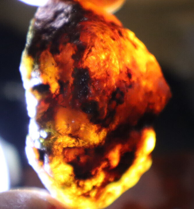 Beautiful Natural Dominican Clear Deep Blue Amber Rough Specimen 45mm 15.3g – photo 11