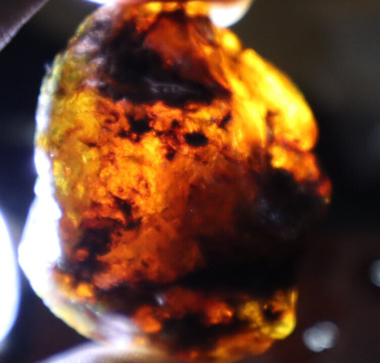 Beautiful Natural Dominican Clear Deep Blue Amber Rough Specimen 45mm 15.3g – photo 12