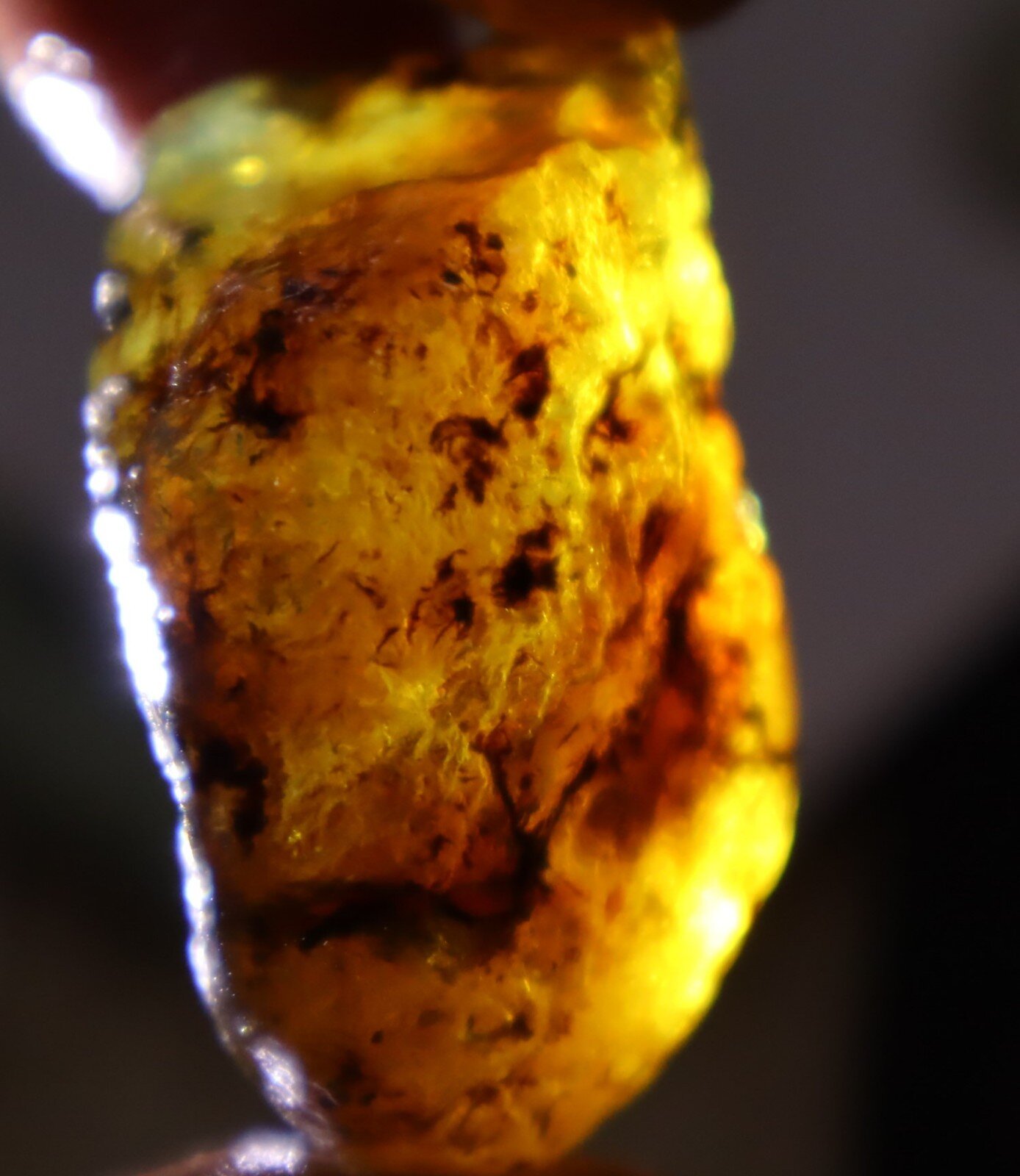 Lovely Natural Dominican Clear Green Blue Amber Rough Specimen 45mm 22g – photo 5