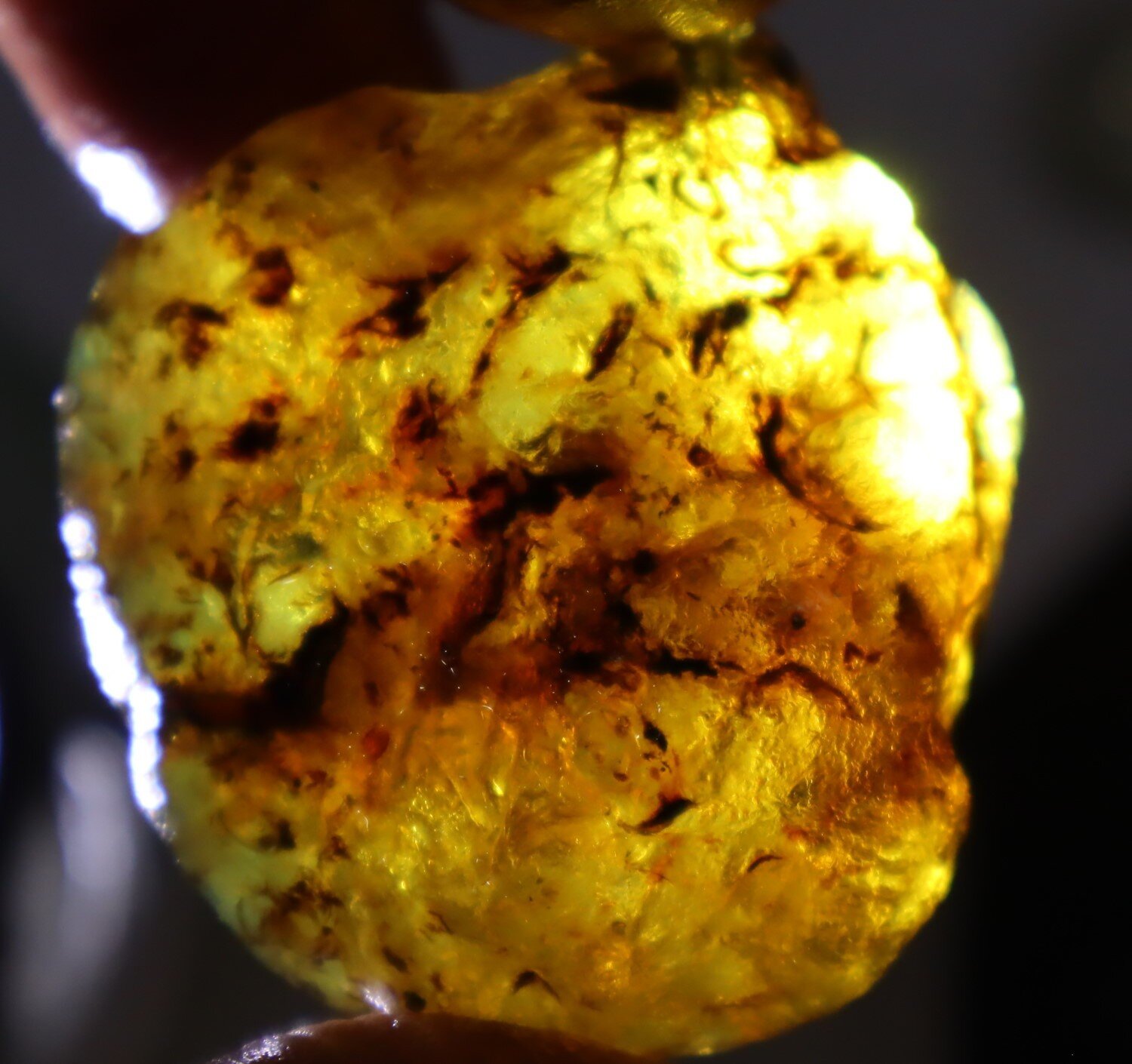 Lovely Natural Dominican Clear Green Blue Amber Rough Specimen 45mm 22g – photo 4