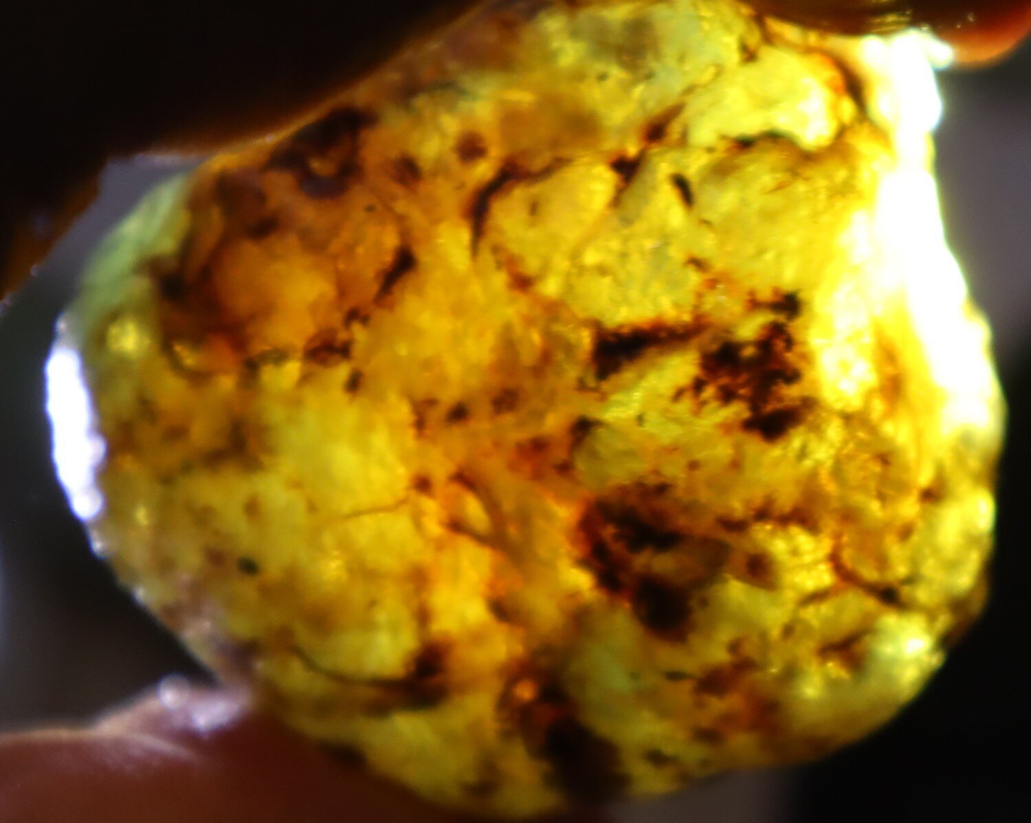 Lovely Natural Dominican Clear Green Blue Amber Rough Specimen 45mm 22g – photo 8