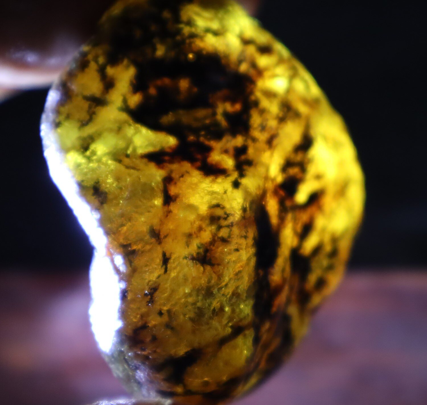 Beautiful Natural Dominican Clear Yellow Green Amber Rough Specimen 58mm 35.3g – photo 6