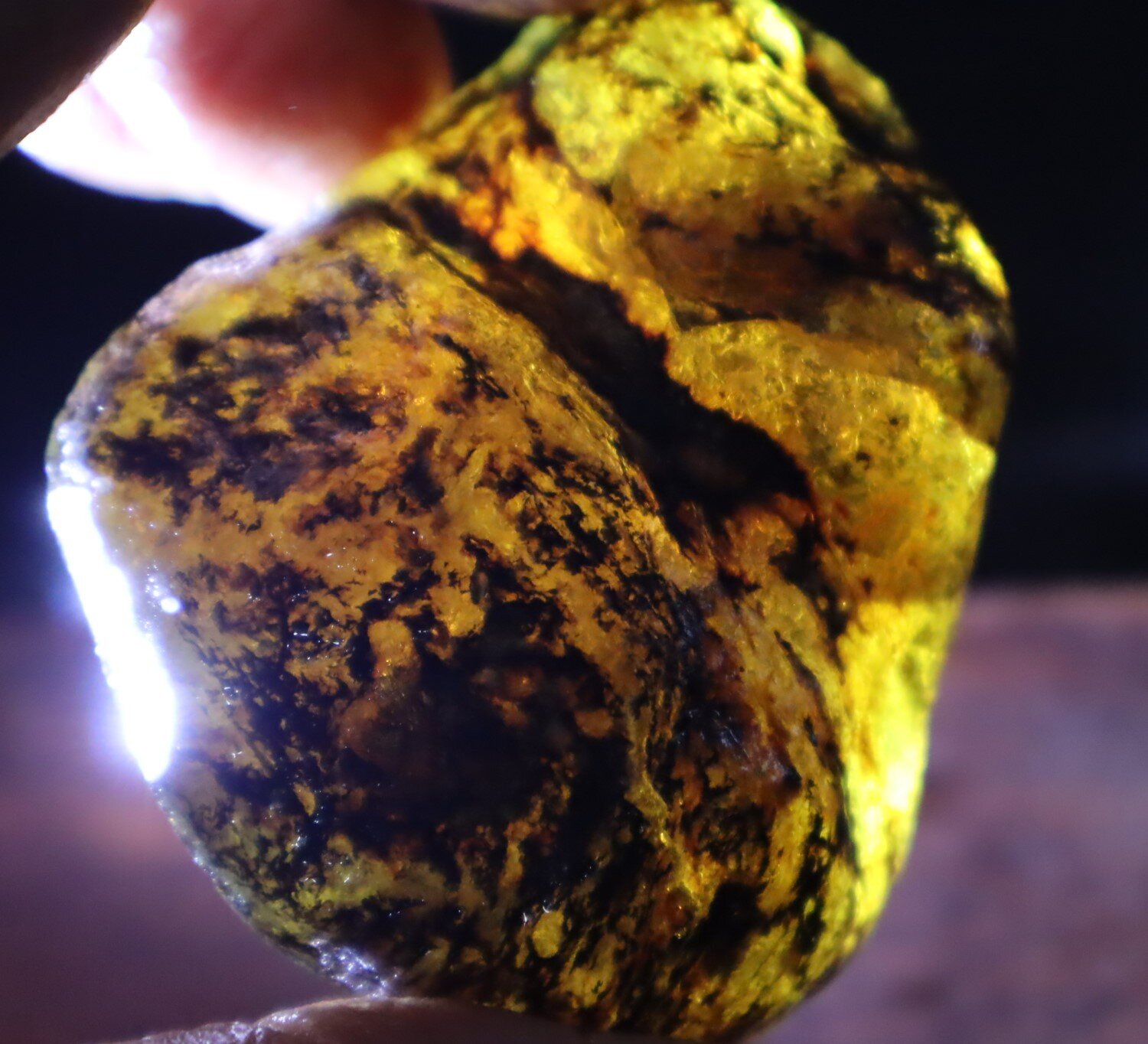 Beautiful Natural Dominican Clear Yellow Green Amber Rough Specimen 58mm 35.3g – photo 3