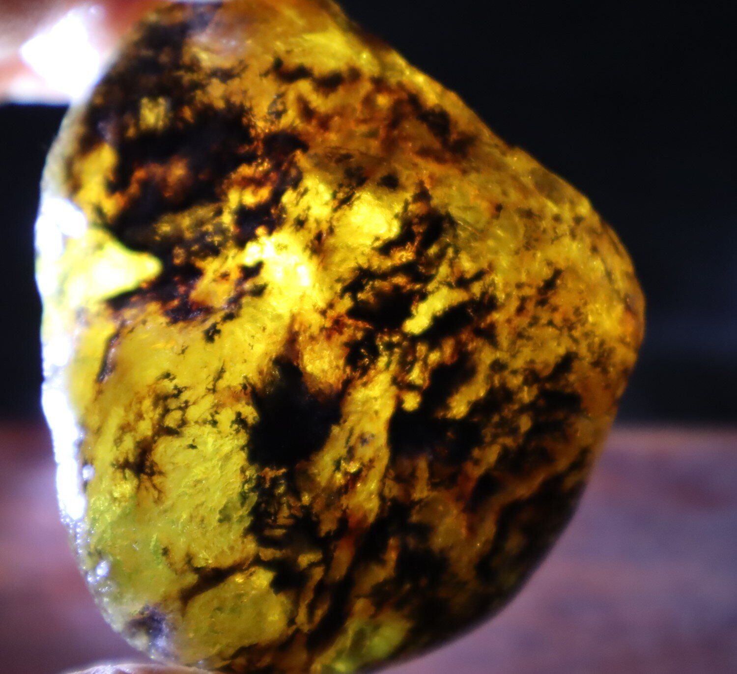 Beautiful Natural Dominican Clear Yellow Green Amber Rough Specimen 58mm 35.3g – photo 7