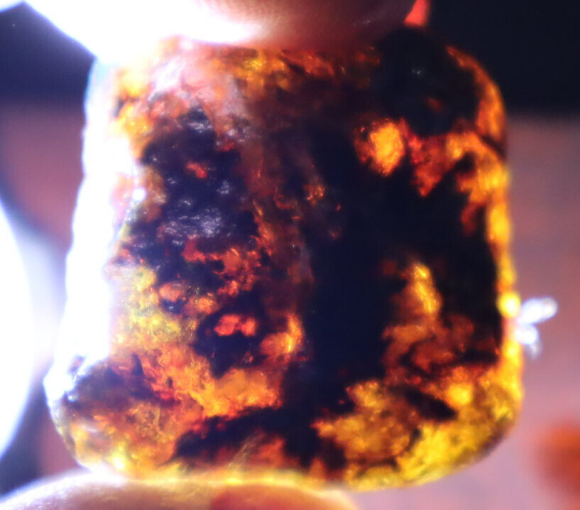 Beautiful Natural Dominican Translucent Sky Blue Amber Rough Specimen 31mm 10.1g – photo 12