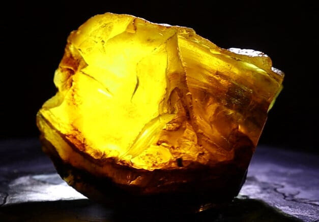Exquisite Natural Dominican Clear Yellow Amber Rough Specimen 53mm 28g – photo 9